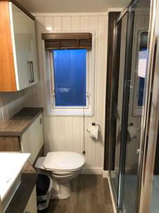 a small bathroom with a toilet and a window at Woodland Lodge in Plumbland +9 photos