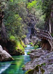Φυσικό τοπίο κοντά σε αυτό το διαμέρισμα +11 φωτογραφίες