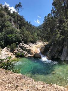 a river in the middle of a mountain with green water at Naturaleza-confort in Arroyo Frio