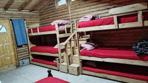 Katil dua tingkat atau katil-katil dua tingkat dalam bilik di Cabaña Las Marias