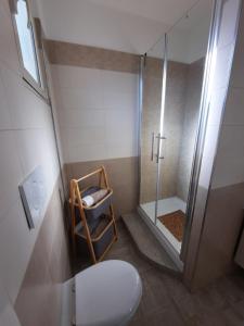 a small bathroom with a shower and a toilet at I 4 Leoni in Conversano +18 photos