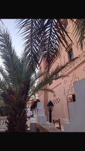 Fotografie z fotogalerie ubytování PALM'SKOURA v destinaci Skoura