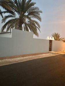 a white wall with a palm tree behind it at استراحة سعد للايجار اليومي in Jubbah