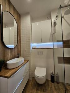 a bathroom with a sink and a toilet and a mirror at Simply Apartament - Symfonia z parkingiem in Toruń +27 photos