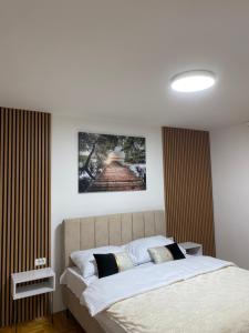 a bedroom with a large bed in a room at Pale apartman Gold in Pale