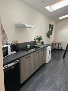 a kitchen with a sink and a washing machine at La Jungle Room in Troyes