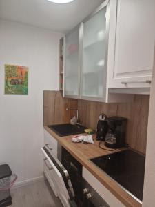 Kuchyň nebo kuchyňský kout v ubytování Appartementhaus Hüttenberger
