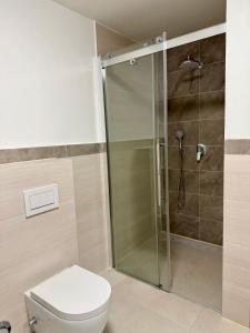 a bathroom with a shower and a toilet at Apartment WH6 in Frechen
