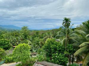 a view of a jungle with palm trees and a road at Hotel Nimthera in Kuruwita