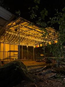 Imagen de la galería de Triloka Dorm by The Offbeat Crew, en Munnar