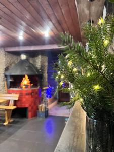 Posezení v ubytování Chalet Truten