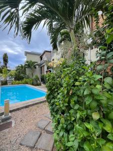 Bazén v ubytování West Riviera - Centrally located apartment close to the beach with breakfast nebo v jeho okolí