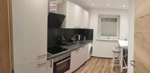 Kuchyň nebo kuchyňský kout v ubytování Miniapartment in Erlensee