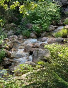 a stream of water with rocks and trees at Casa da Lagoa II in Terras de Bouro