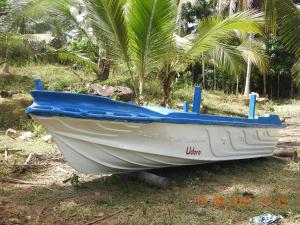 a boat sitting on the grass next to palm trees at Sirin Park Eco Tour in Horagampitiya +9 photos