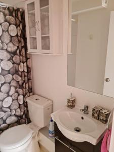a bathroom with a toilet and a sink at Acogedor, cómodo y central. in La Serena +2 photos