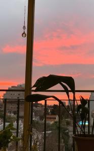 ein Vogel, der auf einem Fensterbrett sitzt und einen Sonnenuntergang hat in der Unterkunft Cozy & Bright 2amb Belgrano Coghlan in Buenos Aires + 5 Fotos