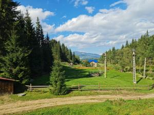 a green field with a fence and trees at The Froggies in Gura Negri