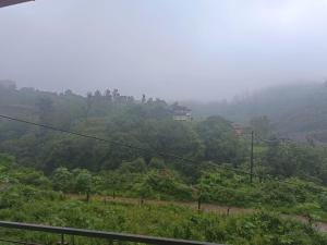 a misty hillside with a house in the distance at Marigold Homestay in coorg in Madikeri