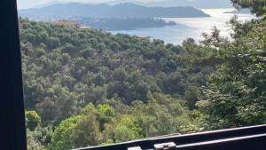 아파트 주변 자연 경관