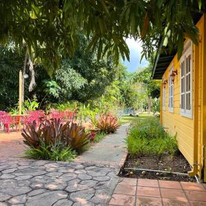 Zahrada ubytování El Oasis Hotel