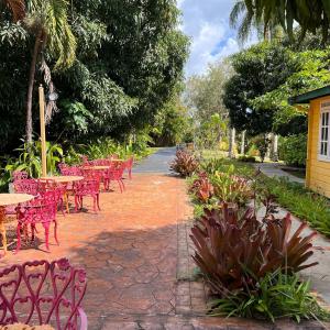 Zahrada ubytování El Oasis Hotel