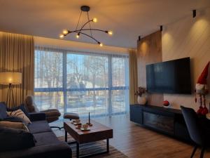 un salon avec un canapé et une télévision dans l'établissement Apartamenty Piwniczna-Zdrój Rynek, à Piwniczna-Zdrój