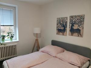 Postel nebo postele na pokoji v ubytování Apartmány Pěkná 10