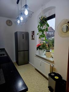 a kitchen with a refrigerator and a window with plants at Cozy Pet-Friendly Apartment in Meißen +9 photos