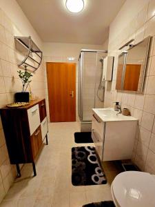 a bathroom with a sink and a toilet and a shower at Cozy Pet-Friendly Apartment in Meißen