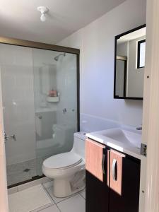 a bathroom with a toilet and a shower and a sink at Elegant Modern Tiny Home in San Miguel
