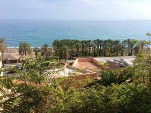 公寓附近的自然景觀