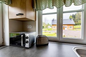 a microwave oven sitting on a kitchen counter next to a window at Chalupy Adršpach Roman Paulus in Horní Adršpach