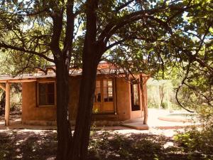 a house with a tree in front of it at Casa LaMora in San Marcos Sierras