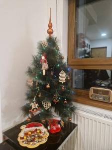 Foto dalla galleria di Divcinova - Apartman Gorski a Divčibare