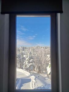 Divcinova - Apartman Gorski durante l'inverno