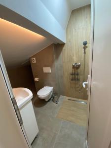 un piccolo bagno con un water e un lavandino di Apartman Izvor tišine a Divčibare Altre 15 foto