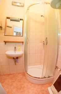uma casa de banho com um chuveiro e um lavatório. em Apartment Bon Voyage em Maribor