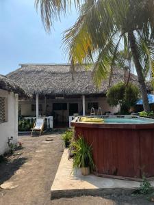 Bazén v ubytování Backpackers Hostel nebo v jeho okolí + 7 fotografií