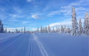 una cubierta de nieve carretera con árboles nevados en un campo en Stunning Home In Sjusjøen With Sauna, en Sjusjøen