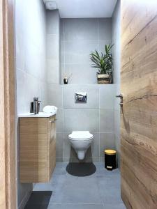 a bathroom with a toilet and a sink at L'Etoile du Vignoble au cœur d'un ranch alsacien sur la route des Vins in Dambach-la-Ville +28 photos