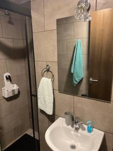 a bathroom with a sink and a shower at Cómodo y confortable Estudio in Cochabamba