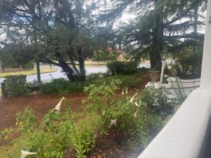 un giardino sul lato di una casa di Belmore Cottage - Historic home in Central South ad Armidale