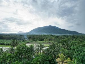 Landskap semula jadi dekat dengan homestay