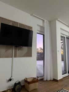 Divčibarski pogledi電視和／或娛樂中心
