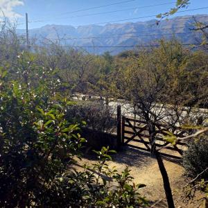 Naturlandskabet i nærheden af feriehuset