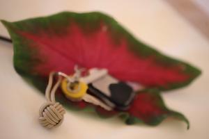 TemaeにあるTiki Beach Moorea , Piscine & Petit Déjeunerのギャラリーの写真