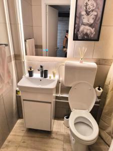 Fotografie z fotogalerie ubytování Marilyn apartman Banovo brdo v Bělehradě