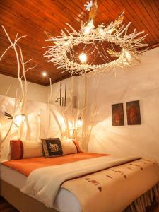 a bedroom with a bed with a chandelier at Sorgvry - House of Guests in Barrydale