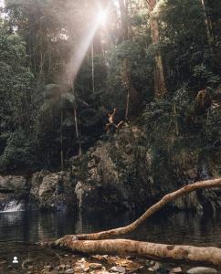 黄金海岸Intimate Rainforest Retreat - Adults Only的相册照片